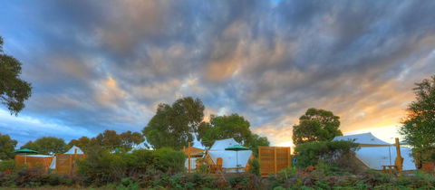 Scamander Sanctuary Holiday Park - Taree Accommodation 0