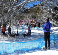 Cloud 9 Alpine Lodge - Taree Accommodation