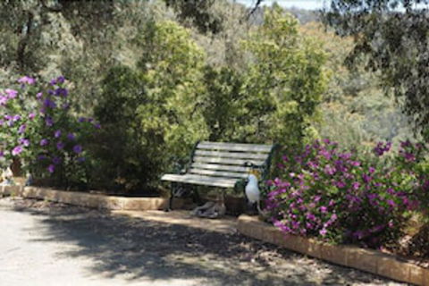 Wild Cherry Bed & Breakfast - Taree Accommodation 3