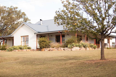 Audrey Wilkinson Vineyard - Taree Accommodation 0