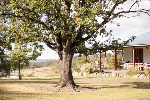 Audrey Wilkinson Vineyard - Taree Accommodation 2