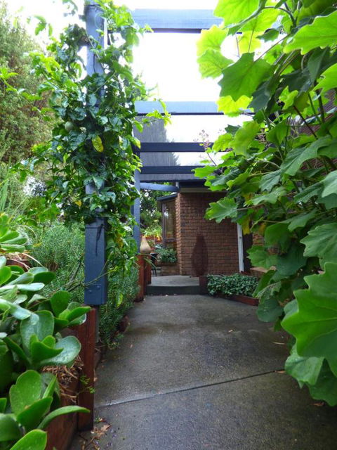 A Suite Spot In The Hills - Taree Accommodation 5