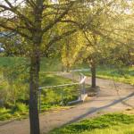A Suite Spot In The Hills - Taree Accommodation 0