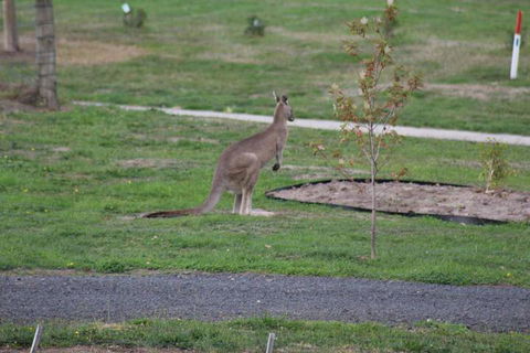 Nyora Lodge B & B - Taree Accommodation 7