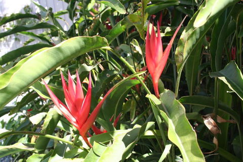 Scarborough Beach Break Holidays - Taree Accommodation 2