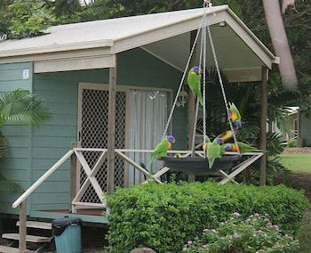 BIG4 Aussie Outback Oasis Holiday Park - Taree Accommodation 0