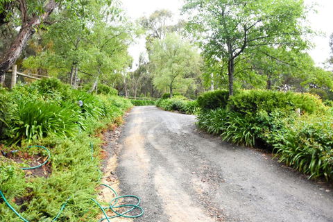 Avoca Park - Taree Accommodation 4