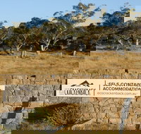 Ecocrackenback 13 'Sustainable chalet close to the slopes.' - Taree Accommodation