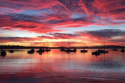Ambience - Taree Accommodation 0