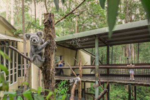 Springwood Meditation Vacation Center - Taree Accommodation 0