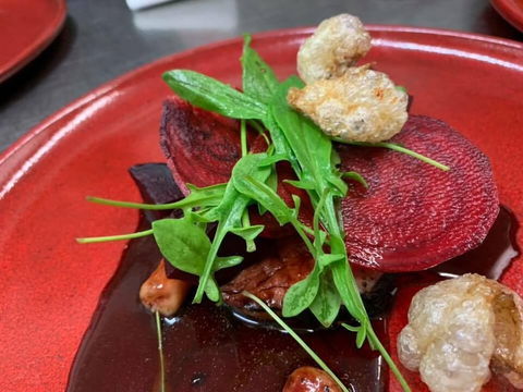 Aloft Boutique Accommodation - Taree Accommodation 2
