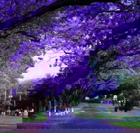 Park view on the City Fringe - Taree Accommodation