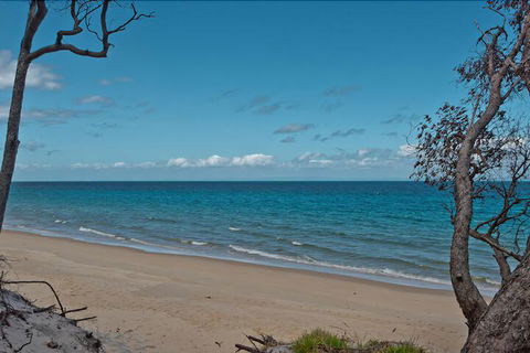 The Jetty At Cowan Cowan - Taree Accommodation 7