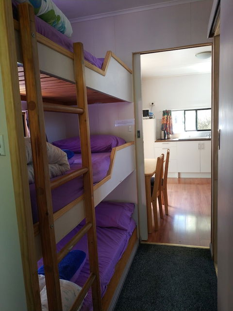 Zeehan Bush Camp - Taree Accommodation 5