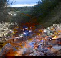 Bayplay Beach Accommodation - 2 locations - Taree Accommodation