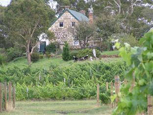 Craigie Knowe Cottage & Vineyard - Taree Accommodation 0
