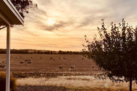Marys Farm Cottages - Taree Accommodation 3