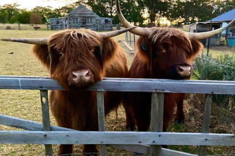 Straw House Farm B & B - Taree Accommodation 4