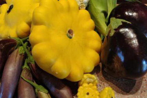 Straw House Farm B & B - Taree Accommodation 6