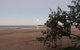 The Shores Holiday Apartments - thumb 1