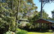 Bellbird Cottage B & B - thumb 5