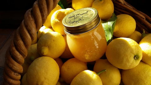 Bellbird Cottage B & B - Taree Accommodation 2