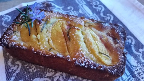 Bellbird Cottage B & B - Taree Accommodation 1