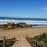 Bellbird Cottage B & B - Taree Accommodation 0