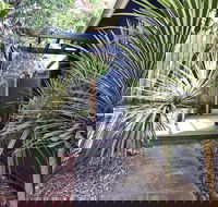 Lornebeach Apartments - Taree Accommodation