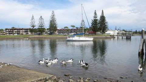 Portview 8 8 / 2 Waugh Street - Taree Accommodation 4