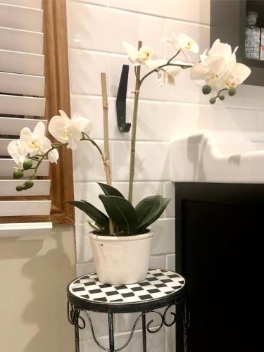 SEAeSCAPE Apollo Bay - Taree Accommodation 4