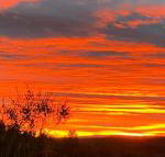 Studio with stunning mountain views - Taree Accommodation