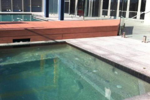 Azul Del Mar - Taree Accommodation 5