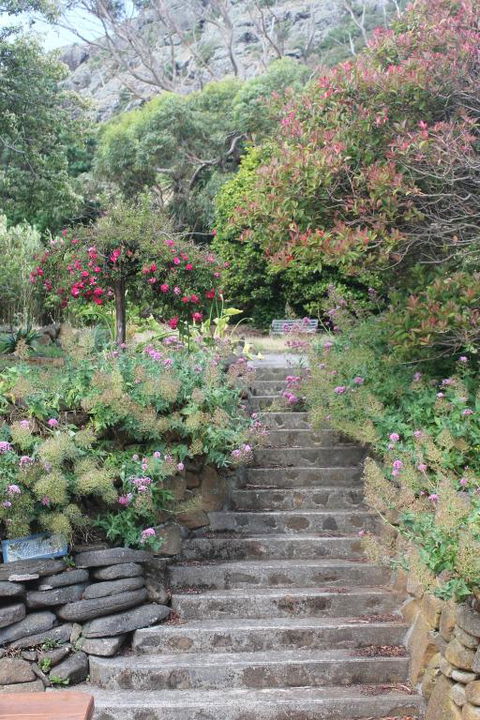 Gardenia House - Taree Accommodation 2