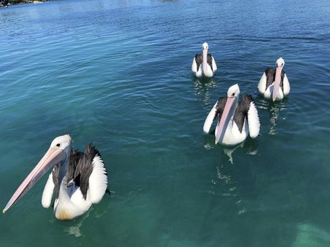 Aquarius 9 Opposite Wallis Lake - Taree Accommodation 6