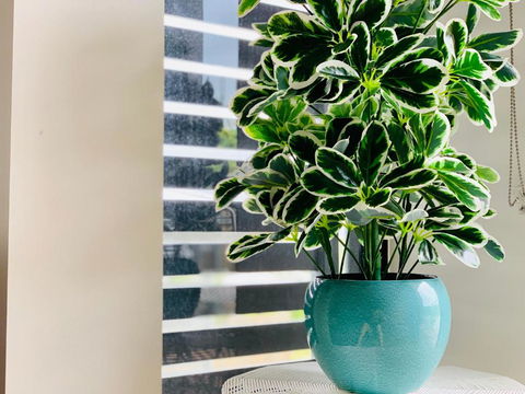 WHITSUNDAY Brand New Townhouse Close To Boardwalk - Taree Accommodation 4