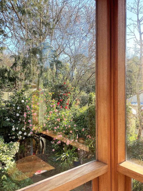 Adelaide Hills Camellia Cottage WiFi - Taree Accommodation 6