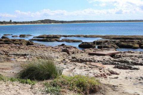 Ayana Beach House Pet Friendly Opposite Beach - Taree Accommodation 6