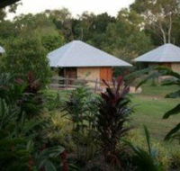 Feathers Sanctuary - Taree Accommodation