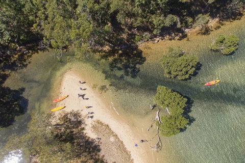 Sydney, Pittwater Eco YHA - Taree Accommodation 1