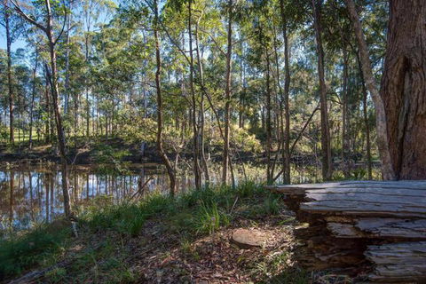 Oakey Creek Private Retreat - Taree Accommodation 2