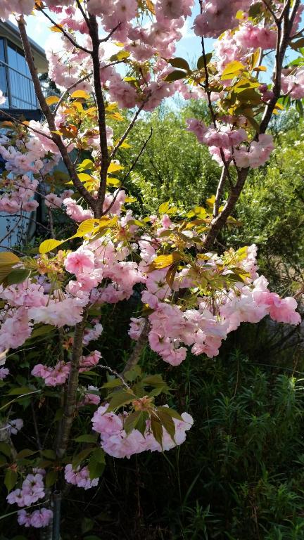 Beezneez B & B - Taree Accommodation 5