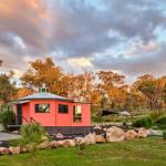 Zuny Yurt - Taree Accommodation 0