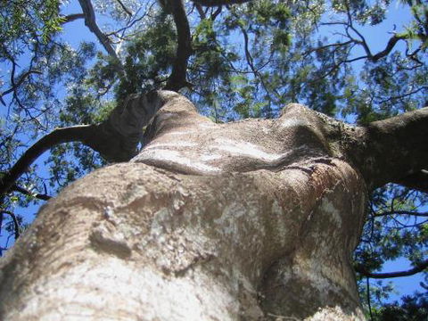 Arthur Riverfront & Sea Lodge Downstream - Taree Accommodation 4