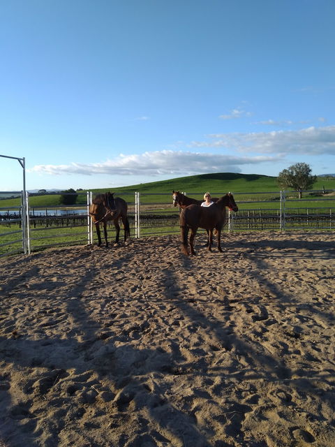 Altitude221 - Taree Accommodation 2