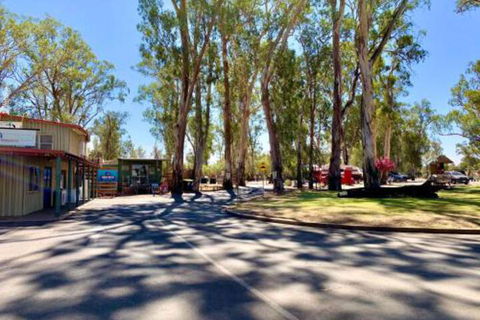 Apex RiverBeach Holiday Park - Taree Accommodation 6