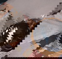 City Heart Motel - Taree Accommodation