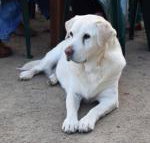 Nazaaray Beach House - Taree Accommodation