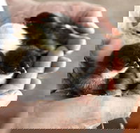 Margaret River Hideaway - Taree Accommodation