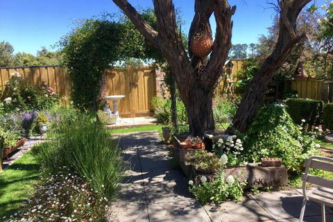 Aggies Bed & Breakfast - Taree Accommodation 5